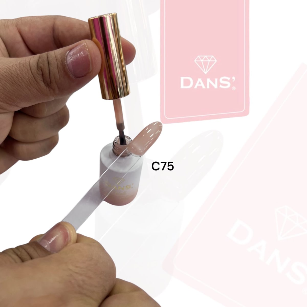 DANS COLECCION PETALS2