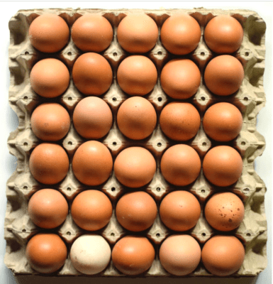 Bandeja de huevos