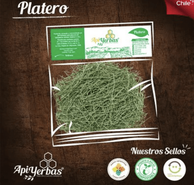 PLATERO APIYERBAS