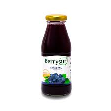 Jugo Berrysur Arandano 250CC