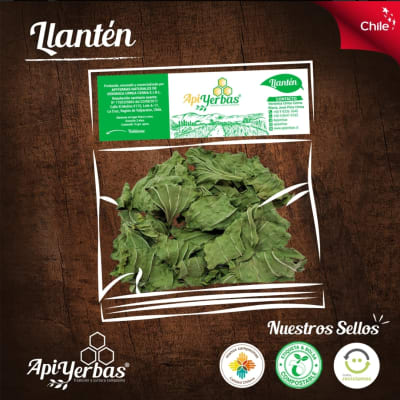 LLANTEN APIYERBAS