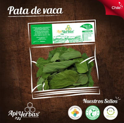 PATA DE VACA APIYERBAS