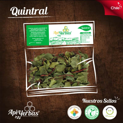 QUINTRAL APIYERBAS 15GR
