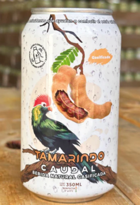 BEBIDA CAUDAL GASEOSA TAMARINDO