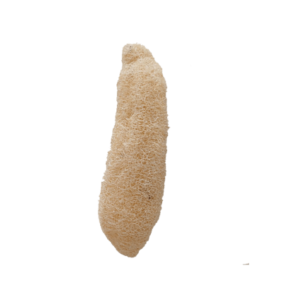 Luffa esponja grande (31-38 cm)