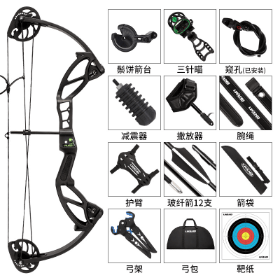 SET ARCO COMPUESTO 10-30 LBS1