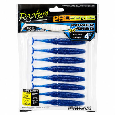 VINILO RAPTURE SWING SHAD 10CM1