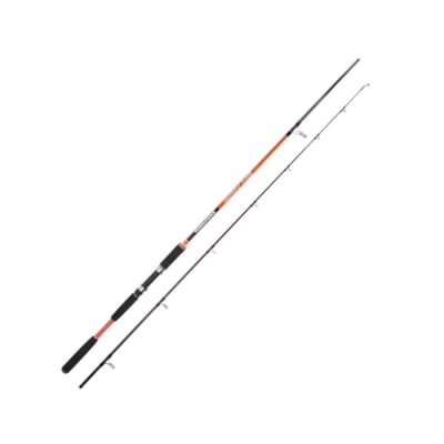 CAÑA SPINNING YOKOZUNA SPIN H10 3M 30-70G1