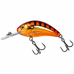 POTXA SALMO RATLIN HORNET 5.5