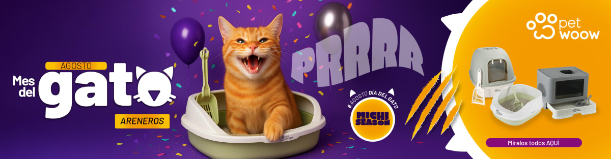 ¡Mes del gato!