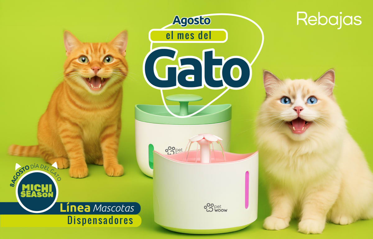 ¡Mes del gato!