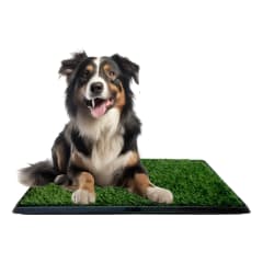 Baño Ecológico Perros Gatos Doggy Potty