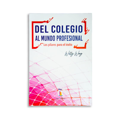 Del colegio al mundo profesional1