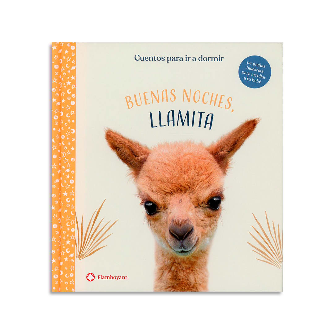 Pack obras plan lector - 4 años1