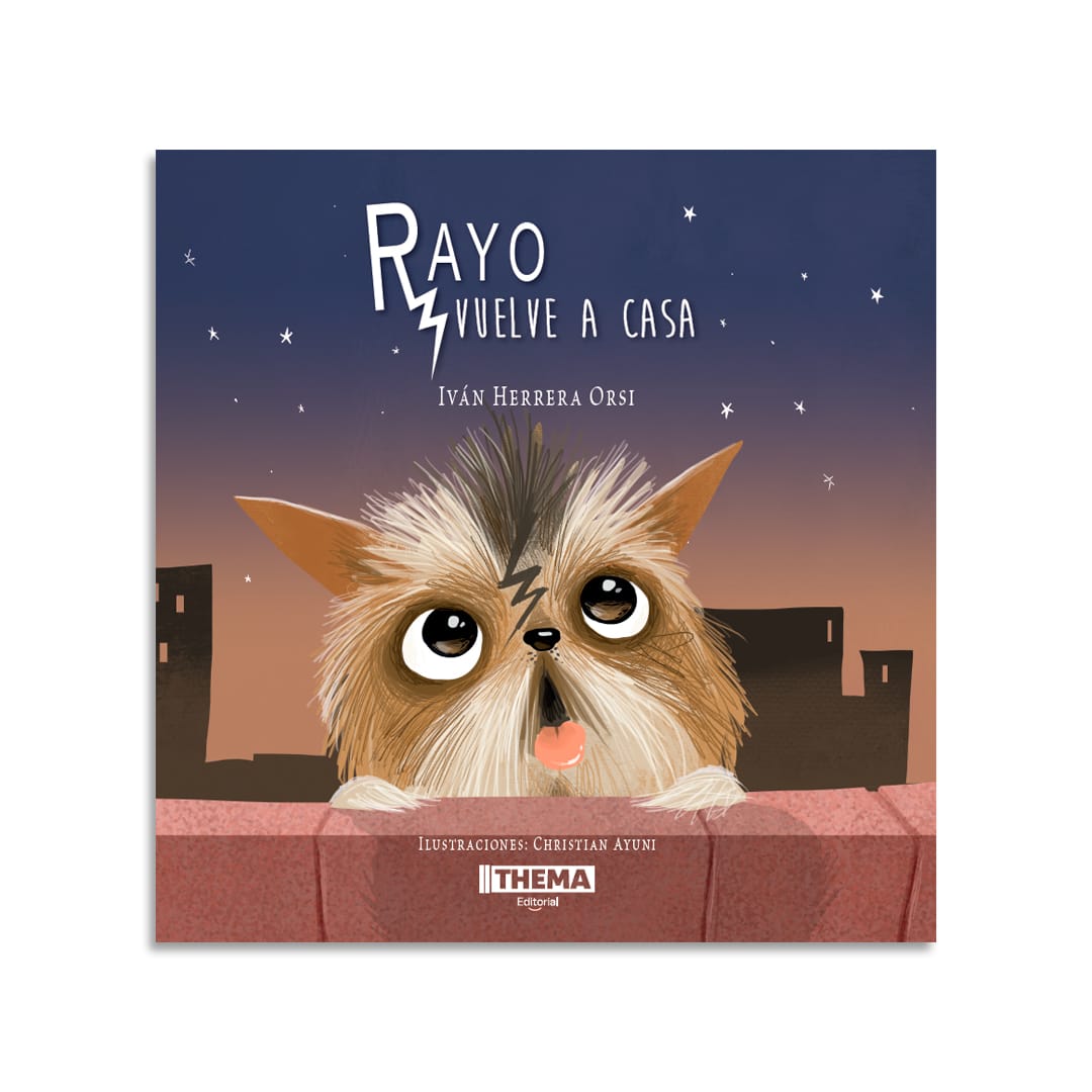 Pack obras plan lector - 4 años4