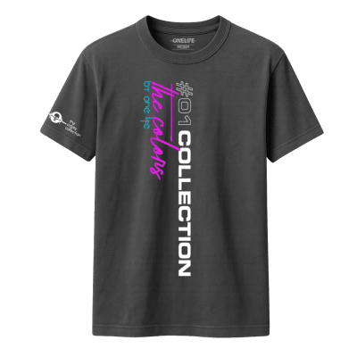 POLERA POLO THE COLORS - GRIS