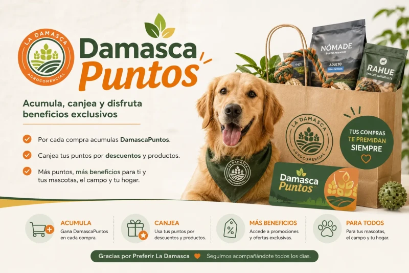 DamascaPuntos