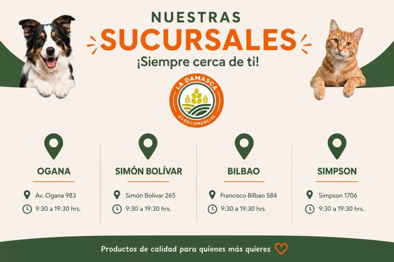 Sucursales