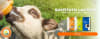 https:  ladamasca.bsalemarket.comalimentacion animal sustitutos lacteos