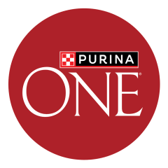 PURINA ONE