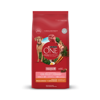 PURINA ONE ADULTO MEDIANA/GRANDE CORDERO1