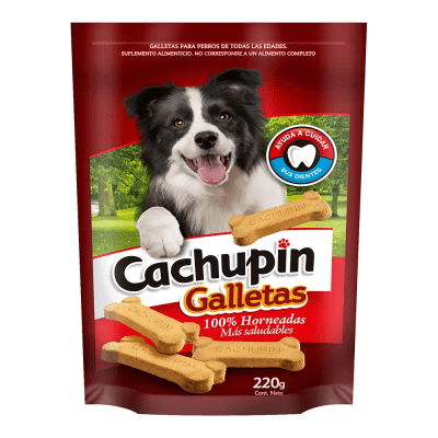 CACHUPIN GALLETA 220 GRS.