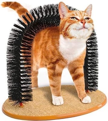 AUTO MASAJEADOR GATO (36X28X35 CM)
