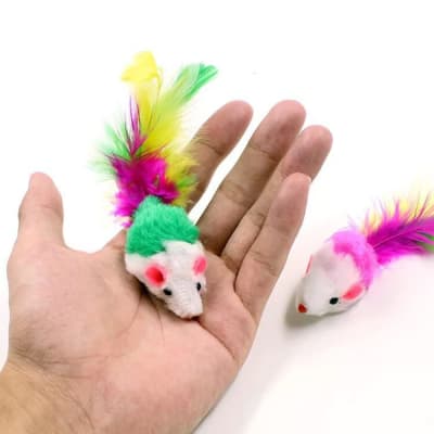 MP RATONES PELUDOS