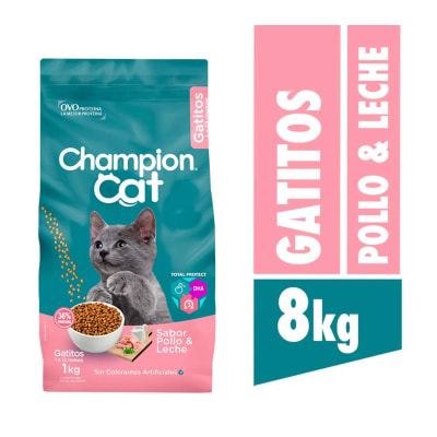 CHAMPION CAT GATITO