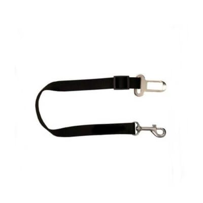 CAMON CORREA CINTURON SEGURIDAD1