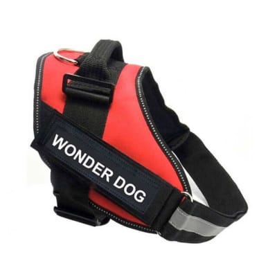WONDER DOG ARNES