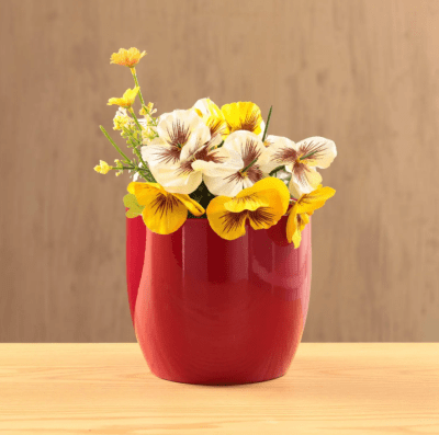 MH MACETERO CERAMICA COLORES1