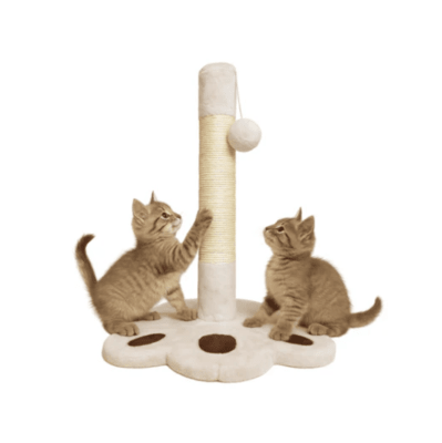MP RASCADOR CAT 30*30*52 CM