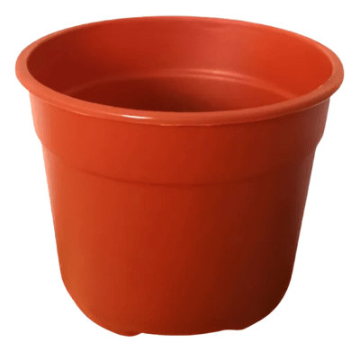 MH MACETERO MINI #51