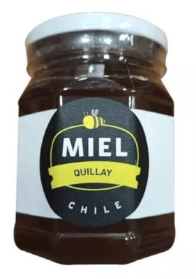 MIEL QUILLAY 500 GRS1