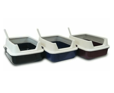 BAÑO SANITARIO BANDEJA ALTA BURDEO1