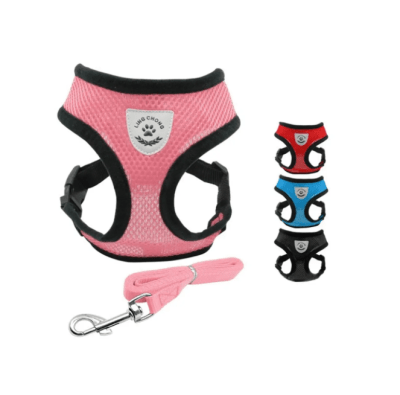 MP ARNES CUERPO + TRAILLA 