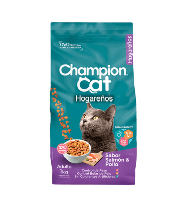 CHAMPION CAT HOGAREÑO