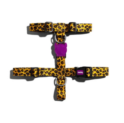 ZEEDOG HONEY H HARNES M1