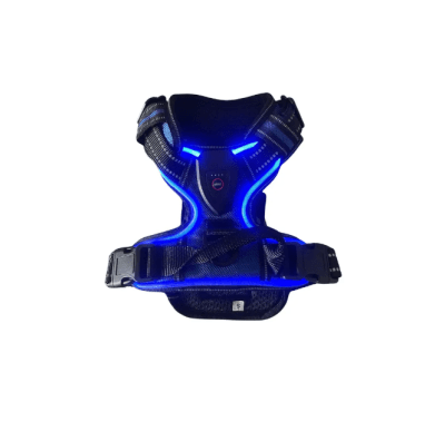 MP ARNES COLORES CON AZUL USB XL1