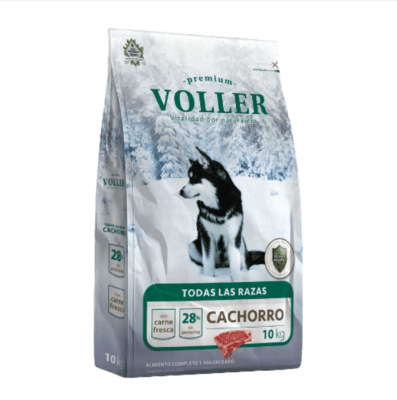 VOLLER PERRO CACHORRO