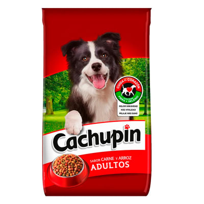 CACHUPIN ADULTO
