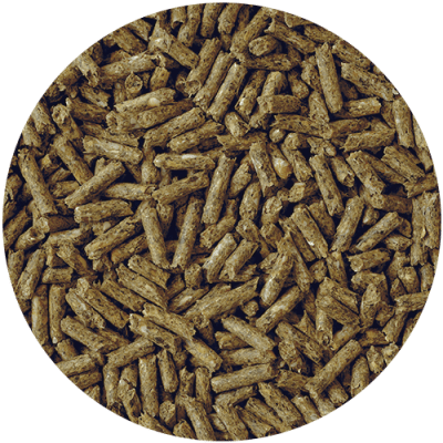 CHAMPION 25 KG CONEJO MANTENCION1