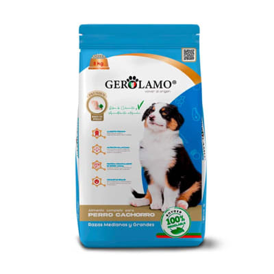 GEROLAMO PERRO CACHORRO