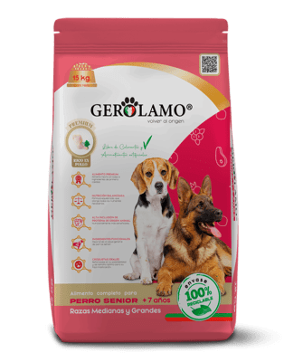 GEROLAMO PERRO SENIOR RAZA MEDIANA Y GRANDE