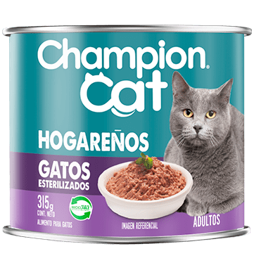 CHAMPION CAT 315 GRS LATA HOGAREÑO
