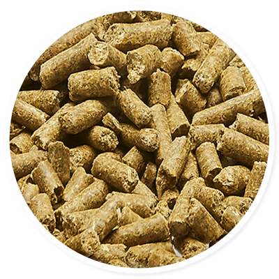 RABITO CONEJO 20 KG.1