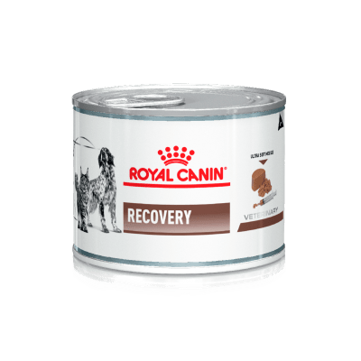 ROYAL CANIN 145 GRS. RECOVERY