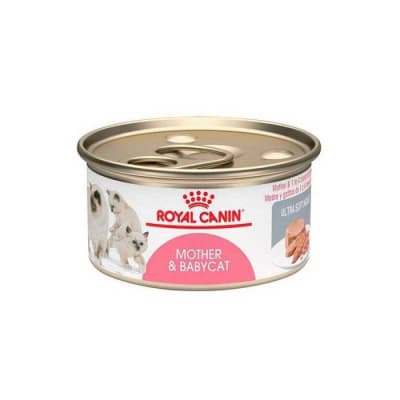 ROYAL CANIN 145 GRS. LATA GATO BABYCAT