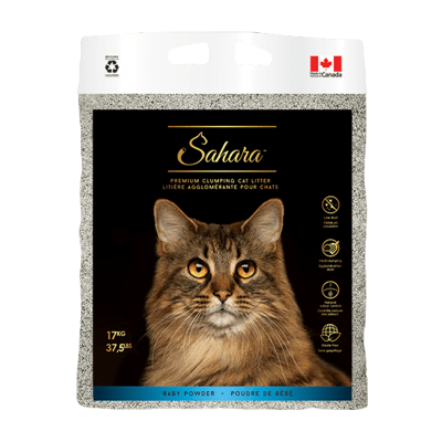 SAHARA ARENA BABY POWDER 10 KG.